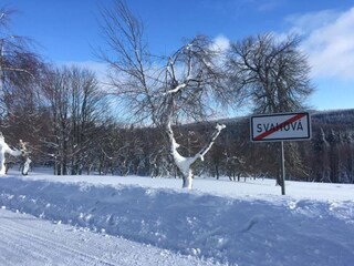 Maison de vacances Rübenau Environnement 28