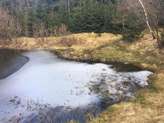 Maison de vacances Rübenau Environnement 23