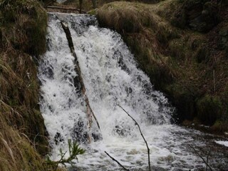 Vakantiehuis Rübenau Omgeving 31
