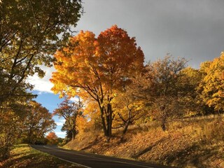 Vakantiehuis Rübenau Omgeving 35