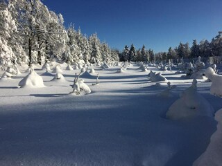Ferienhaus Rübenau Umgebung 38