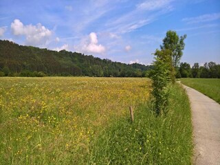 Vakantiehuis Barvaux-sur-Ourthe Omgeving 19