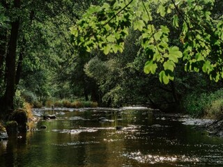 Maison de vacances Houffalize Environnement 40