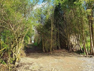 Vakantiehuis Houffalize Omgeving 24