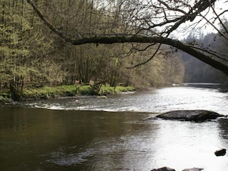Ferienhaus Houffalize Umgebung 35