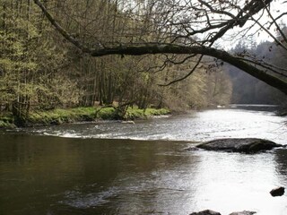 Holiday house Houffalize Environment 36