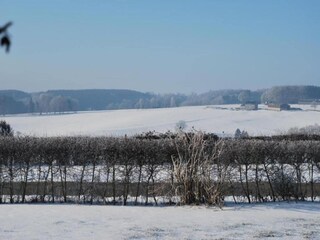 Casa de vacaciones Houffalize Entorno 30