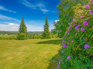 Holiday house Vresse-sur-Semois Environment 32