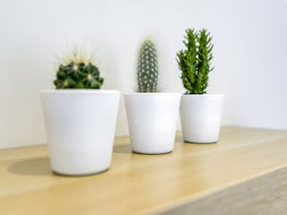 Vakantiehuis Vresse-sur-Semois  39