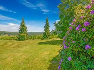 Casa de vacaciones Vresse-sur-Semois Entorno 32