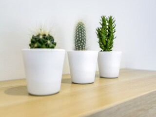 Casa per le vacanze Vresse-sur-Semois  36