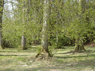 Vakantiehuis Fauvillers Buitenaudio-opname 5