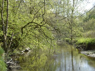 Ferienhaus Fauvillers Außenaufnahme 3