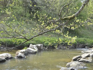 Ferienhaus Fauvillers Außenaufnahme 8