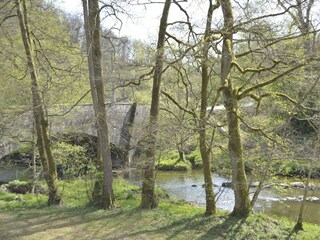 Ferienhaus Fauvillers Außenaufnahme 8