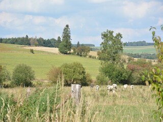 Vakantiehuis Sainte-Ode Buitenaudio-opname 4