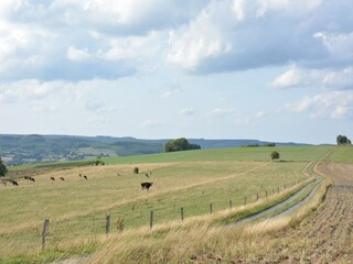 Vakantiehuis Sainte-Ode Omgeving 29