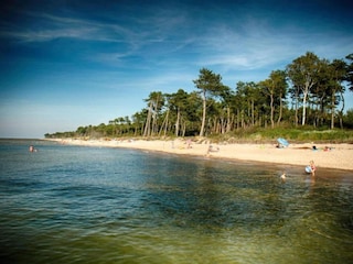 Cottage Darlowo Umgebung 22