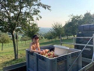 Maison de vacances Thimister-Clermont  37