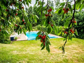 Casa de vacaciones Thimister-Clermont  32