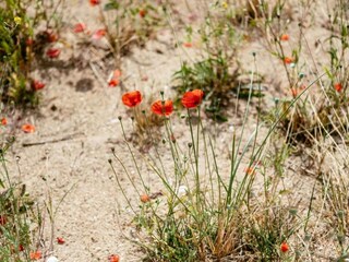 Apartamento De Panne Entorno 26