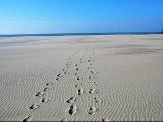 Apartment De Panne Environment 35