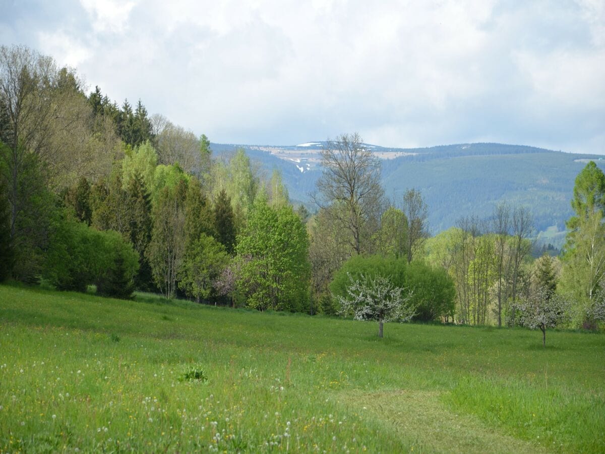 Apartment Vrchlabí Ausstattung 11