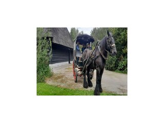 Farmhouse Breda  41