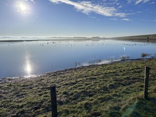 Die Dünen im Frühjahr