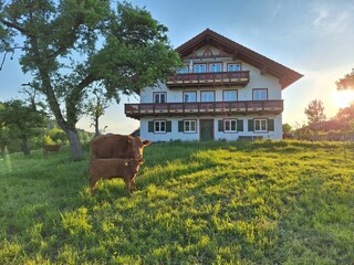 Ferme biologique Wackersberg Enregistrement extérieur 2