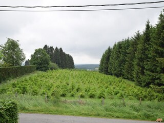 Appartement Paliseul Enregistrement extérieur 9