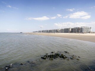 Appartement Bredene Omgeving 34