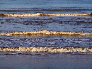 Casa de vacaciones Nieuwvliet Entorno 24