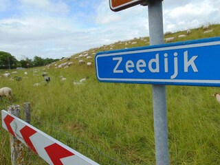 Maison de vacances Nieuwvliet Environnement 23