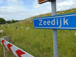Vakantiehuis Nieuwvliet Omgeving 23