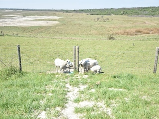 Ferienhaus Nieuwvliet Umgebung 25