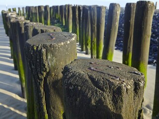 Casa de vacaciones Nieuwvliet Entorno 26