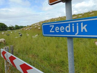 Vakantiehuis Nieuwvliet Omgeving 27