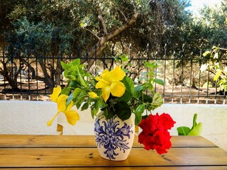 Ferienhaus Paleochora  37