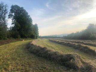 Villa Hamoir Environment 33