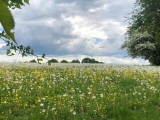 Villa Hamoir Entorno 34