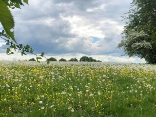 Villa Hamoir Omgeving 33