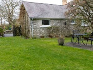 Maison de vacances de à Ceredigion avec jardin - Lampe - image1