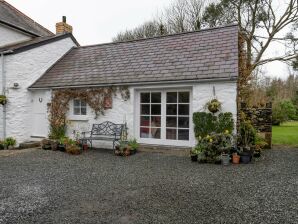 Holiday house Deluxe Ferienhaus in Ceredigion mit Garten - Lampeter - image1