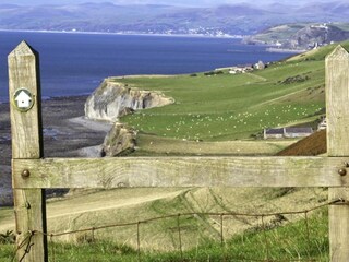 Cottage Lampeter Umgebung 33