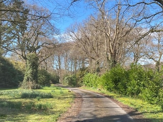 Cottage Lampeter Umgebung 36