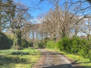 Holiday cottage Lampeter Environment 33