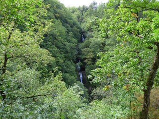 Holiday cottage Lampeter Environment 35