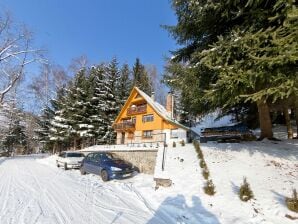 Luxury Chalet near Ski area in Benecko - Benecko - image1