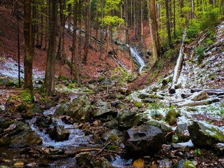 Chalet Benecko Umgebung 33